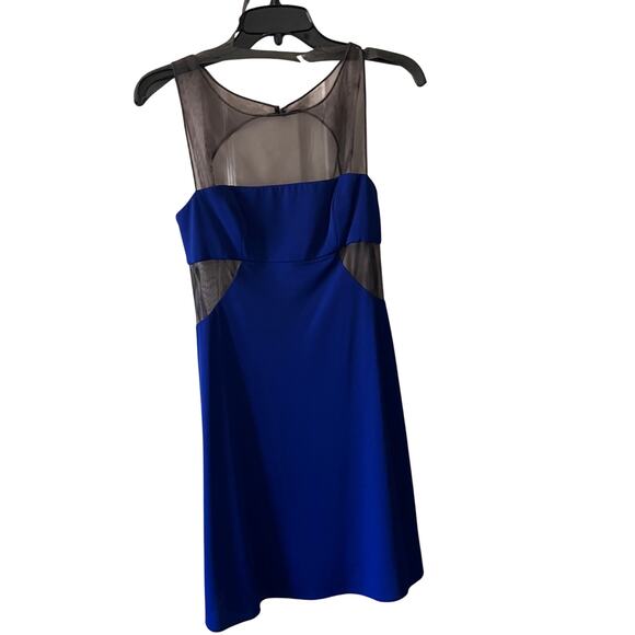 NWT BCBGMAXAZRIA Cobalt Mesh Panel Dress – Size M - Picture 1 of 4